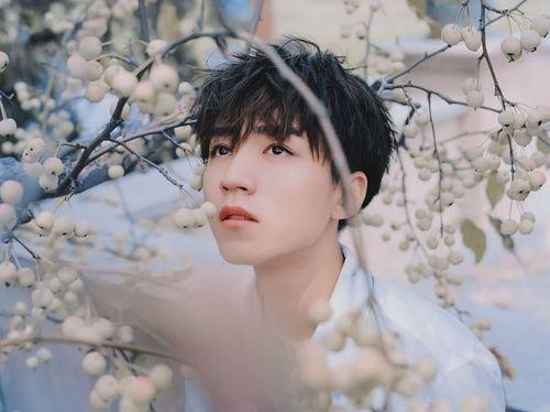 吃瓜鹅娱乐速报肖战