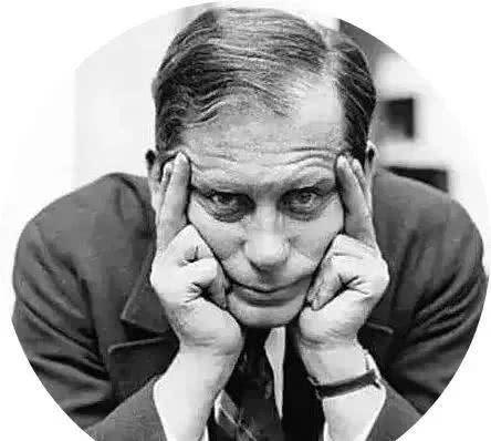 吃瓜娱乐助手,吃瓜娱乐助手带你探秘明星生活